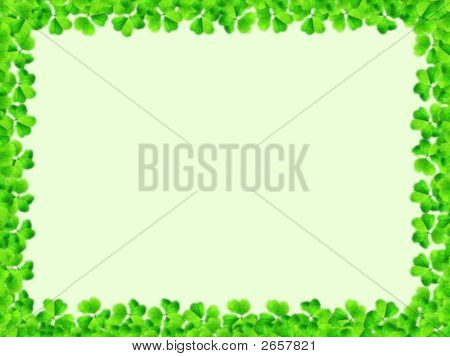 Clover telaio