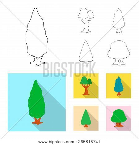 Isolated Object Of Tree And Nature Icon. Set Of Tree And Crown Vector Icon For Stock.