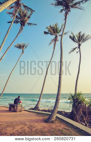 Tourist Sits On A Bench In The Park In Front Of The Ocean