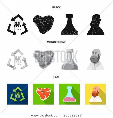 Vector Illustration Of  And  Symbol. Set Of  And  Stock Vector Illustration.