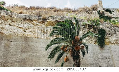 Giardino Sotto Le Mura (garden Under The Wall) In Cagliari