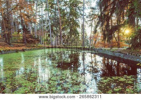 Natural Park With Lake And Trees In Topolcianky, Slovak Republic. Sunset Scene. Travel Destination. 