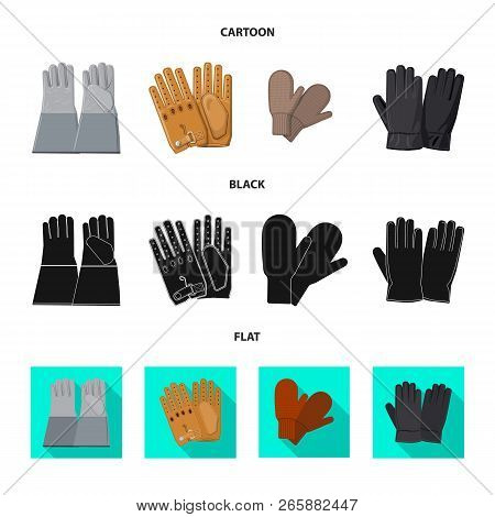 Vector Design Of Glove And Winter Logo. Collection Of Glove And Equipment Stock Vector Illustration.