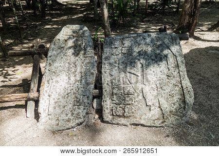 Stelas At The Ruins Of The Mayan City Coba, Mexico