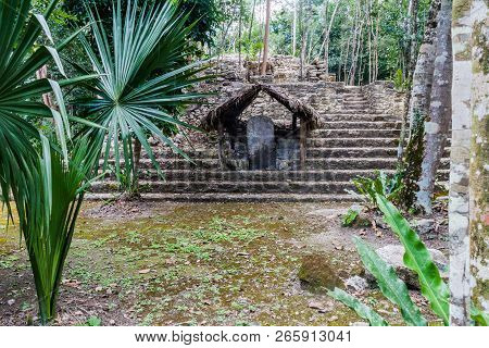 Stela At The Ruins Of The Mayan City Coba, Mexico
