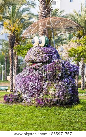 Ashdod, Israel - May 09, 2012: Huge Vibrant Frog Holding Umbrella Flowerbed In One Of Many Beautiful