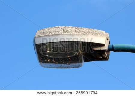 Large Street Lamp Encased In Metal Casing Covered With Multiple Insects And Mounted On Metal Pole Wi