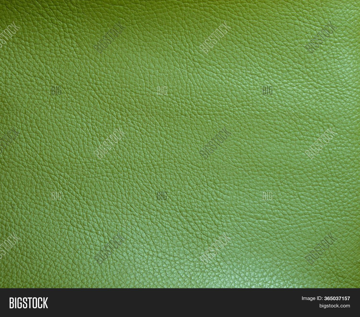 Green Faux Leather. Image & Photo (Free Trial) | Bigstock