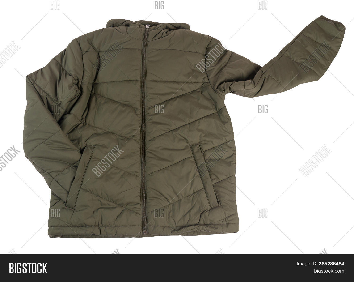 dark green jacket with hood