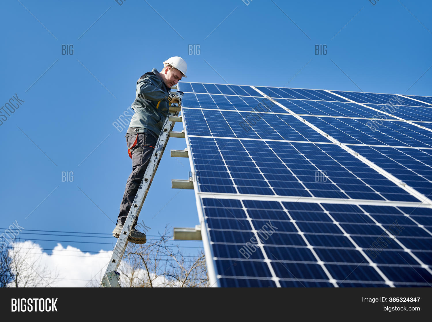 Electrician On Ladder Image & Photo (Free Trial) Bigstock