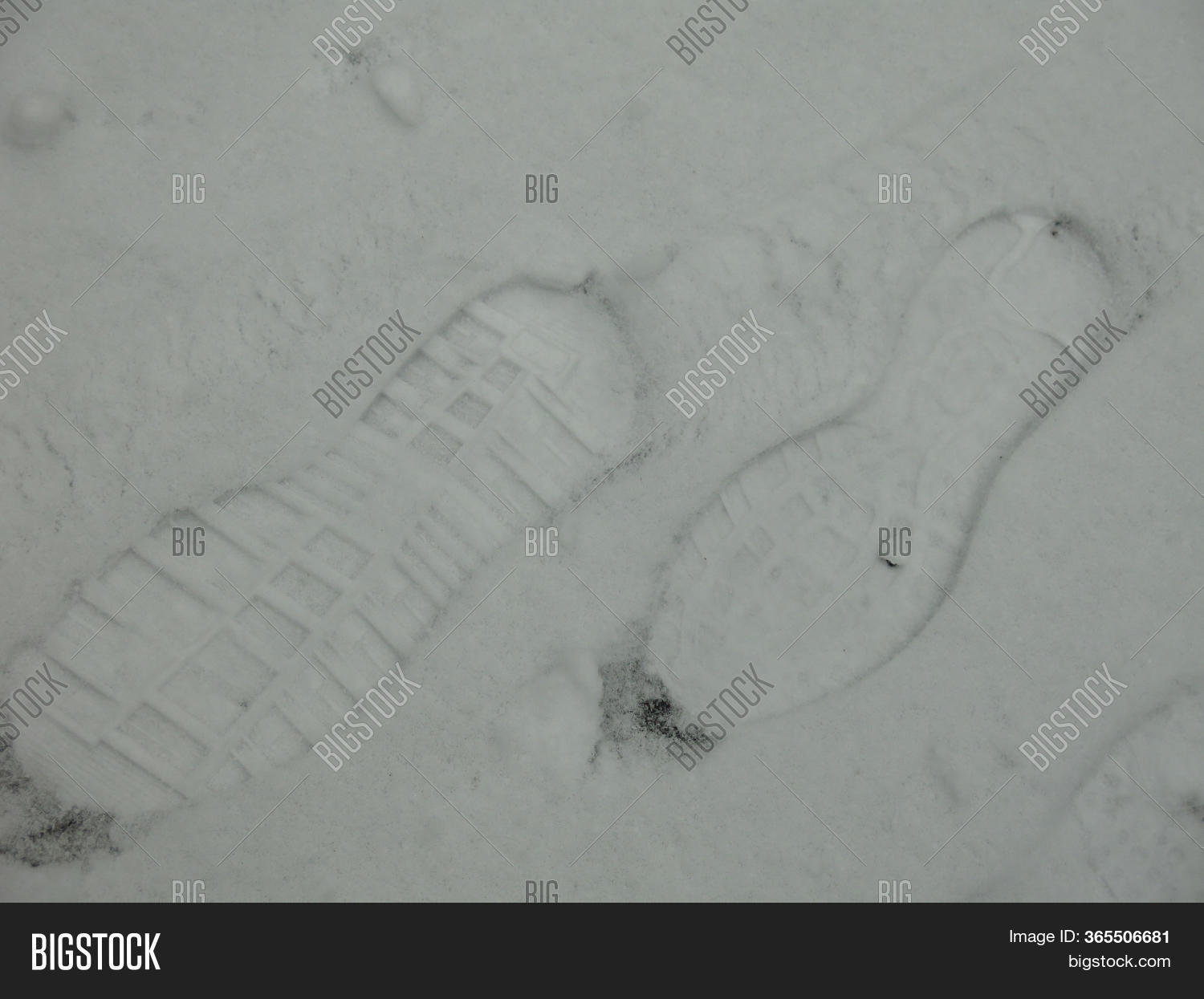 Footprints Women Boots Image & Photo (Free Trial) Bigstock