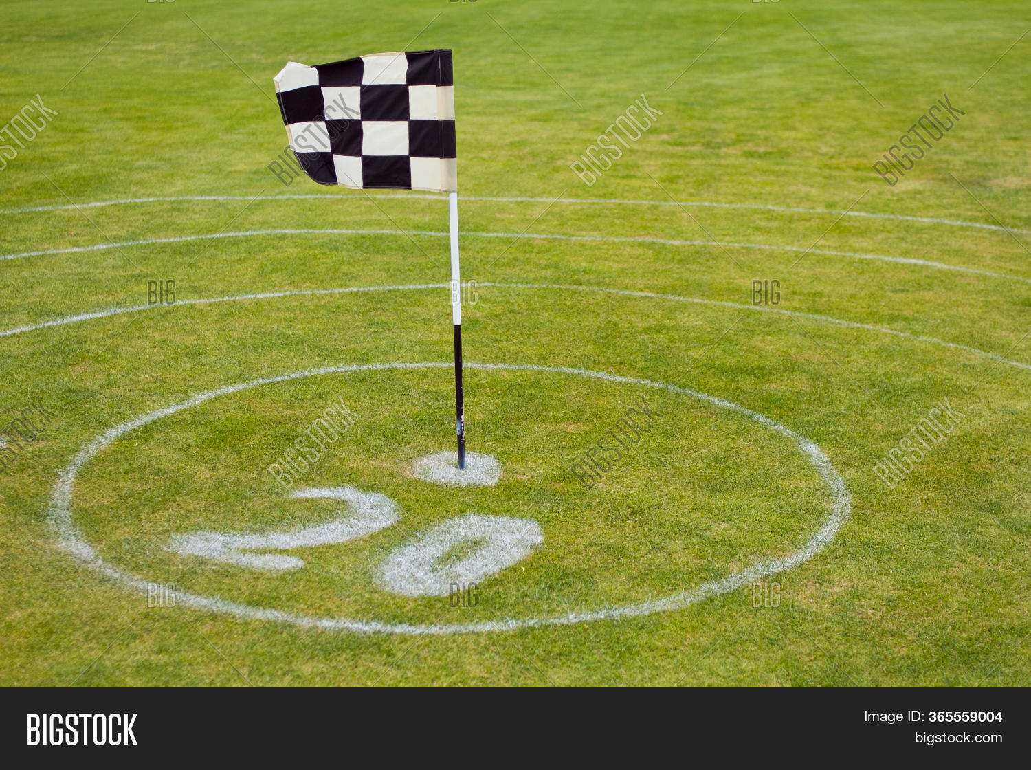 Chess Flag On Green Image & Photo (Free Trial) Bigstock