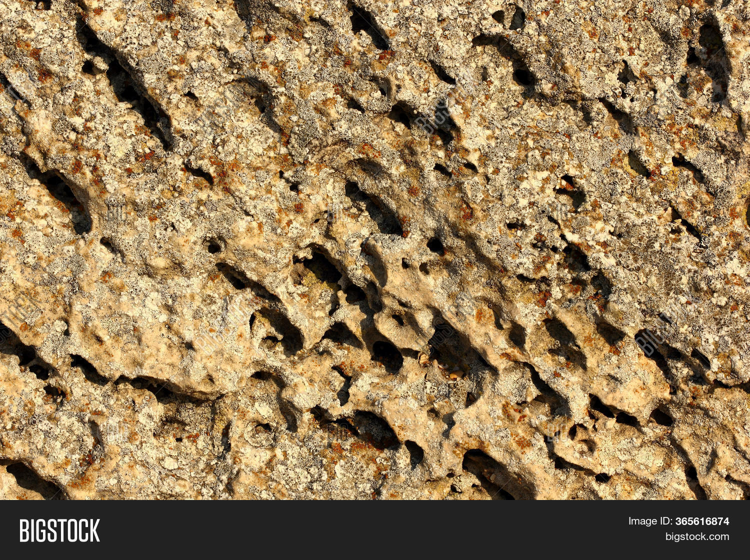 Structure Stone Image & Photo (Free Trial) | Bigstock