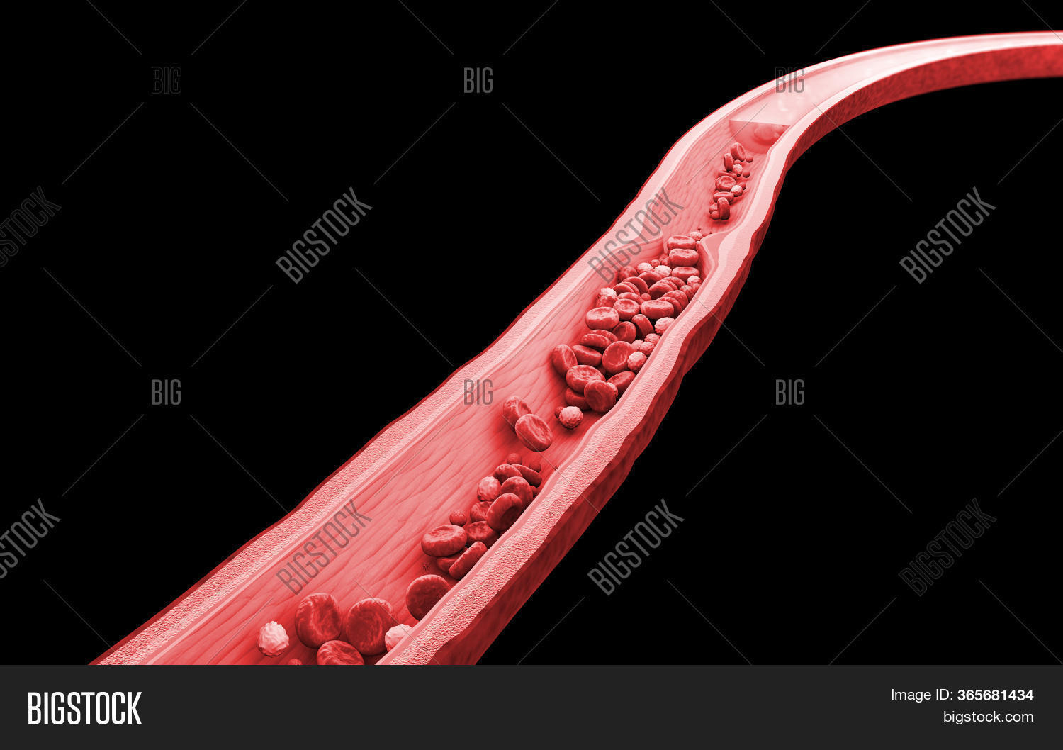 3d Rendering Red White Image & Photo (Free Trial) | Bigstock