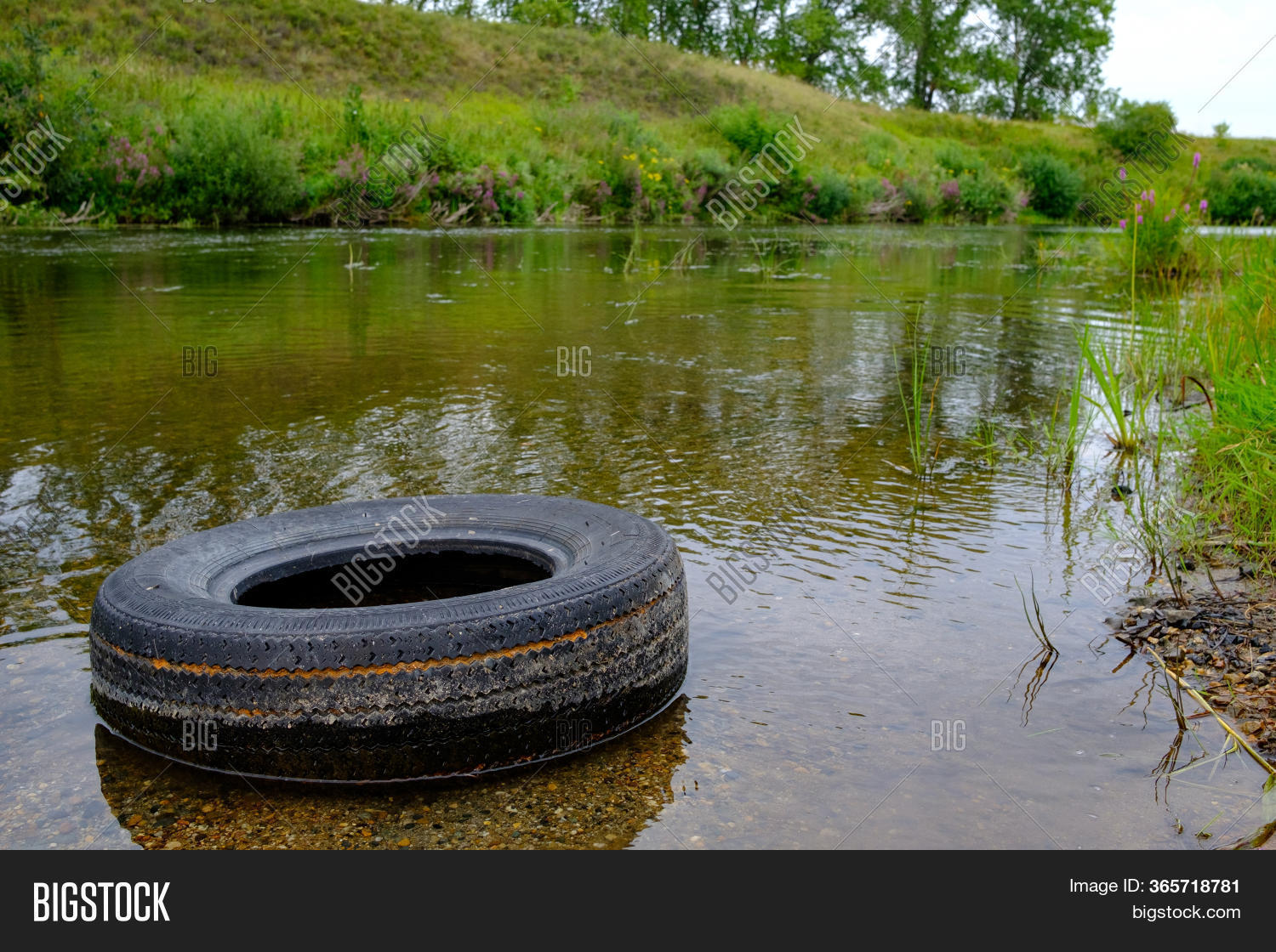 Tire Car River Image & Photo (Free Trial) Bigstock