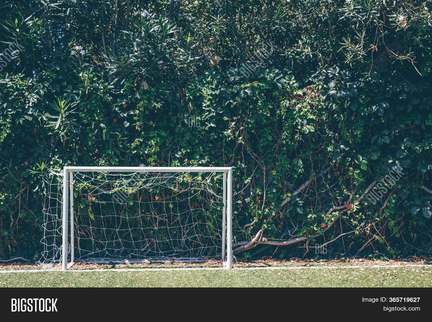 Soccer Goal Outdoor Image & Photo (Free Trial) Bigstock