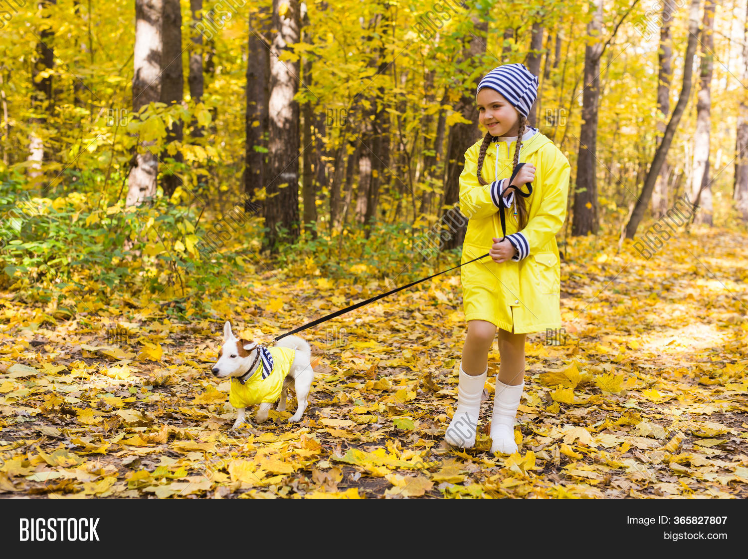 jack russell terrier with kids
