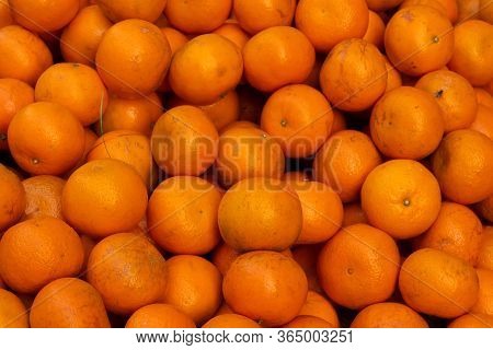 Orange Or Sweet Orange, Fruits, Family Rutaceae, Are Displayed For Sale At New Market Area, Kolkata,
