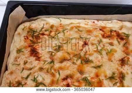 Homemade Italian Focaccia Modenese, With Rosemary And Olive Oil/ Freshly Baked And Ready To Eat