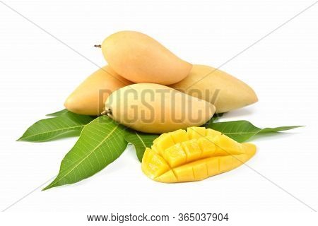Mango Fruit With Mango Cubes And Slices. Isolated On A White Background. Perfect Ripe Mango Fruit. S