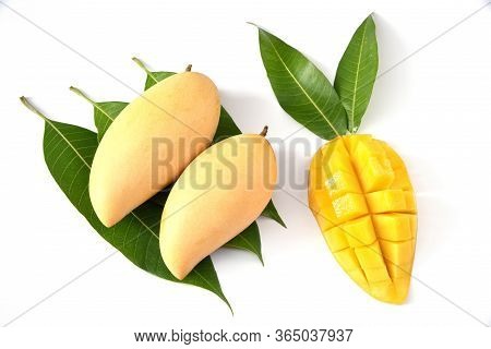 Mango Fruit With Mango Cubes And Slices. Isolated On A White Background. Perfect Ripe Mango Fruit. S