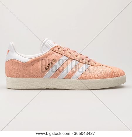 coral gazelles