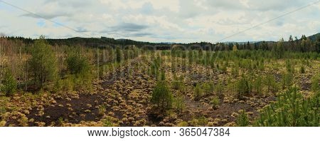 Typical Landscape Sumava National Park In Czech Republic, „soumarske Raseliniste