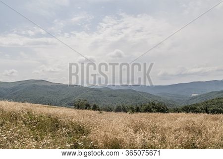 Road From Widelki To Tarnica Through Bukowe Berdo In The Bieszczady Mountains In Poland