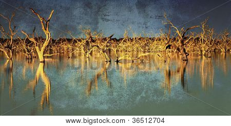 Inundado de árboles muertos en un lago al atardecer, con efectos grunge.  Beccar, New South Wales, Australia.