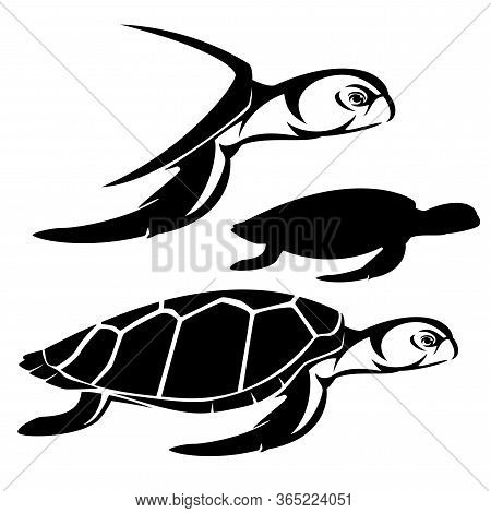 Green Sea Turtle Side View Portrait - Animal Profile Head And Silhouette Black And White Vector Desi