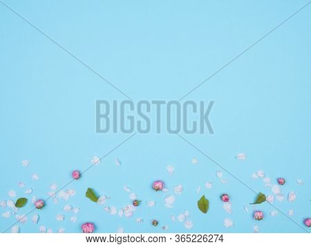 Flower Buds, Petals And Leaves. Spring Flowers. The View From The Top.