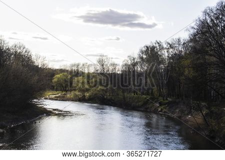 Ukranian Landscape In The Forest. Pine Forest With A River Name Psel In City Sumy. Pine Trees On A R