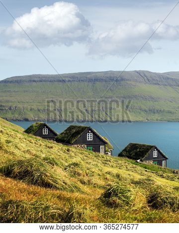 Picturesque view of tradicional faroese grass-covered houses in the village Bour during autumn. Vagar island, Faroe Islands, Denmark.