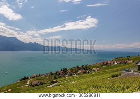 Panoramic View Of The Amazing Lake Geneva. Country Houses Surrounded By Green Vineyards. Area Near M