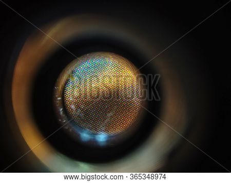 Atomic Level Of Zoom Of Color Print Products