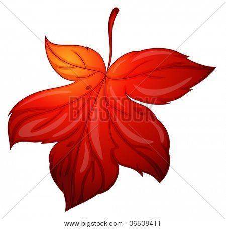 illustration de la feuille d'érable rouge sur fond blanc