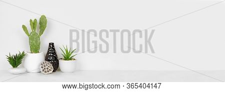 Home Decor On A Shelf. Cactus And Succulent Plants, Vase And Coral. White Shelf And Wall. Banner Wit