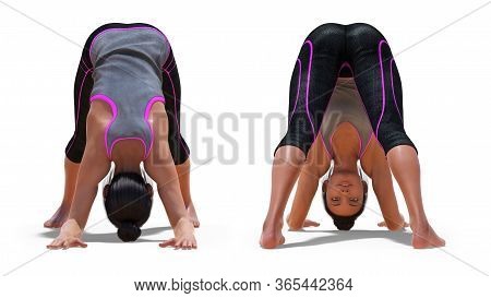 3d Illustration Of Front And Back Poses Of A Virtual Woman In Yoga Dolphin Pose With A White Backgro