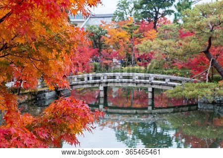 Colorful Leaves And Scenery Stone Bridge And Pond Background In Eikando Temple, Beautiful Nature Gar