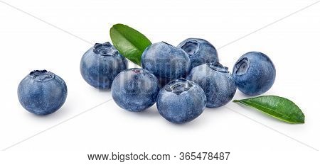 Fresh Blueberries With Bluberry Leaves Isolated On White Background.