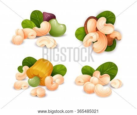 Cashew Compositions Set, Top And Side View