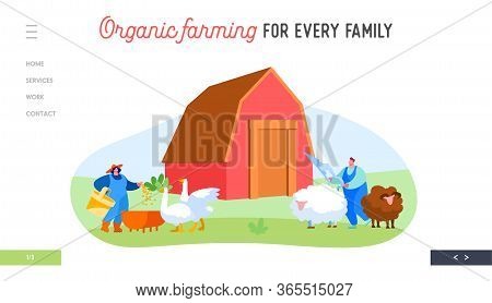 Farm, Agriculture, Farming Landing Page Template. Man And Woman Feeding Geese, Trimming Sheep On Nat