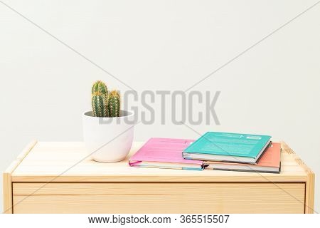 Cactus And  Books On Wooden Shelf. Life Style. Minimalis.  Reading