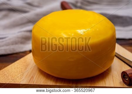One Small Head Of Dutch Baby Gouda Cheese In Yellow Wax Close Up