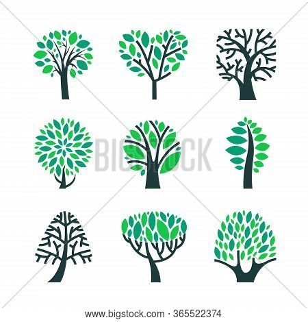 Trees With Green Leaves On Branches Set Isolated On White Background. Summer Or Spring Season Foliar
