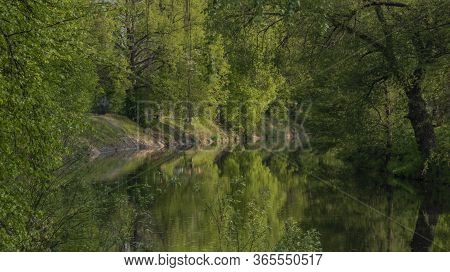 Malse River In Spring Morning In Budweis City