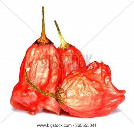 Close-up Of Heap Of Capsicum Baccatum Chilli Also Known As Christmas Bell Isolated On White Backgrou