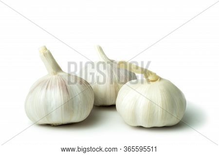 Isolated Garlic (allium Sativum) Has Many Medicinal Properties And Can Be Used For Ingredient Food. 
