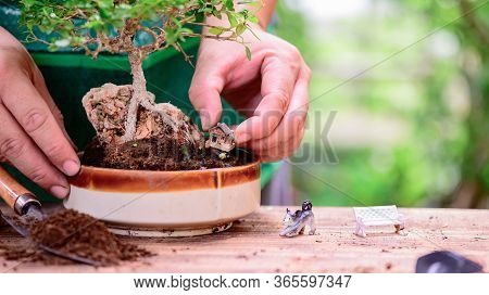 Home Gardening When Lock Down And Self-quarantine. Planting Seeds In Soil At Botanic Garden During T