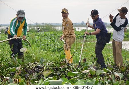 Janitors And The Community Clean The River From The Hyacinth Pests, Batang / Jawa Tengah Indonesia, 